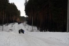 Изображение галереи 